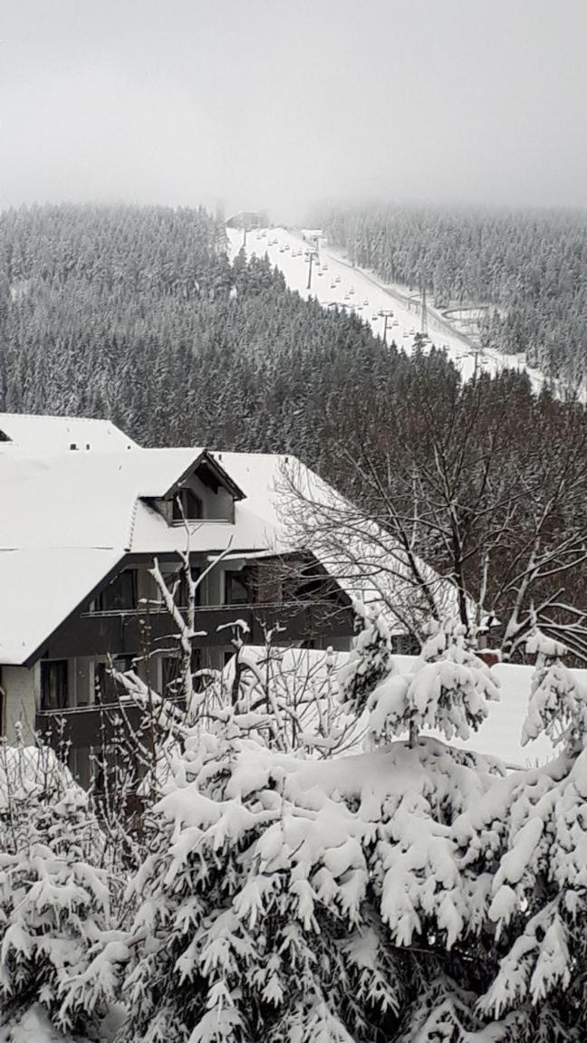 Ferienwohnung Steffens Hahnenklee Wohnung 25 Goslar Dış mekan fotoğraf