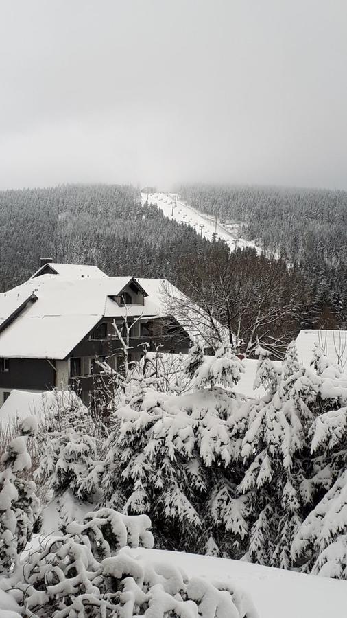 Ferienwohnung Steffens Hahnenklee Wohnung 25 Goslar Dış mekan fotoğraf